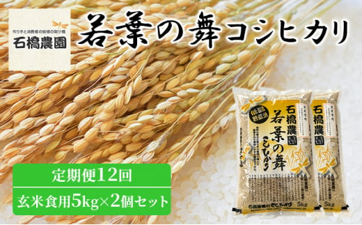 米 若葉の舞 コシヒカリ 玄米食用5Kg×2個セット 定期便12回 こしひかり セット 定期便 お米 玄米 千葉 千葉県 低温保存 [№5346-0882]