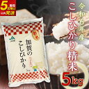 【ふるさと納税】こしひかり 精米 5kg 令和6年産 コシヒカリ 9月中発送可 最短5営業日以内発送 銘柄米 お米 米 ギフト 贈り物 グルメ 食品 復興 震災 コロナ 能登半島地震復興支援 北陸新幹線 F6P-2110