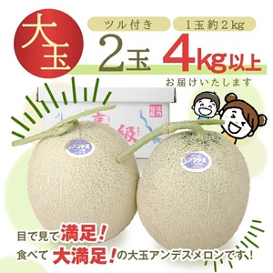 SA2892　特選 庄内産 アンデスメロン　4kg以上(青肉 大玉/2玉入つる付)