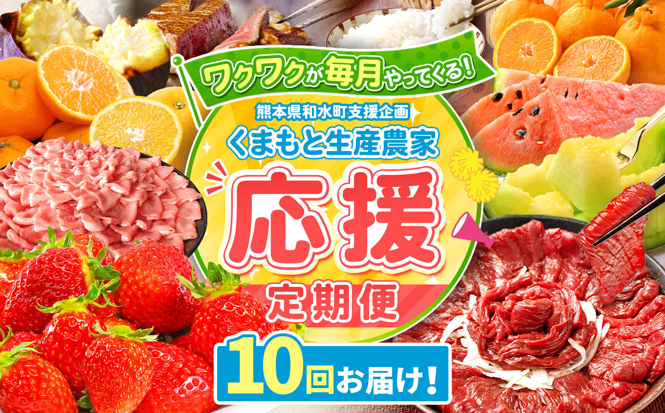 
            【 定期便 10回 】支援 企画 ！ くまもと 生産 農家 応援 定期便 ！ | 熊本県 熊本 くまもと 和水町 なごみ町 なごみ いちご スイカ 小玉 牛肉 あか牛 赤牛 肥後 ステーキ みかん ミカン 蜜柑 定期便 
          