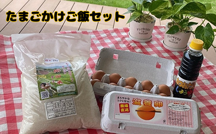 
ｂ－２６３　相浦ファームの滋養卵を使用　たまごかけご飯セット【卵　精米　醤油】
