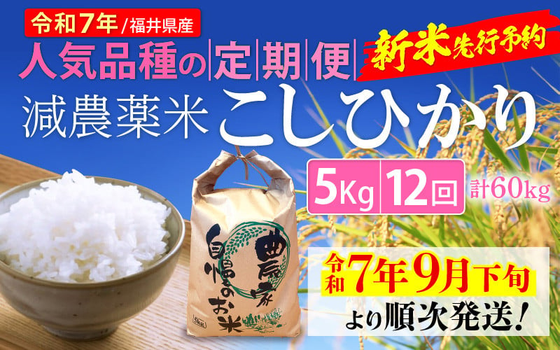 
            【令和7年産新米・先行予約】定期便 ≪12ヶ月連続お届け≫ 減農薬米こしひかり 5kg × 12回（計60kg）令和7年 福井県産 人気品種の定期便！【玄米 対応可】【令和7年9月下旬より順次発送】 [e35-k002]
          