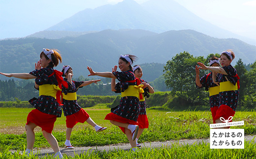 【※返礼品なし】高原町への応援寄附金(10,000円分)　宮崎県 高原町　たかはる　霧島　高千穂峰 故郷納税 10000円 一万円 オンラインワンストップ対応TF1006-P00049