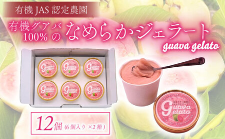 有機グアバ農園のなめらかジェラート 計12個  アイスクリーム ジェラート