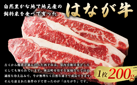 ＜熟成肉 はなが牛 ロースステーキ 2枚（1枚200g）＞ 牛肉 牛 肉 ろーすすてーき ステーキ サーロイン ブランド牛 鉄板焼き 焼き肉 焼肉 バーベキュー BBQ 国産 小分け 特産品 愛媛県 