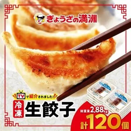 冷凍生餃子10パック(120個)　ぎょうざの満洲_冷凍 生餃子 ぎょうざの満洲_【配送不可地域：離島】【1238201】