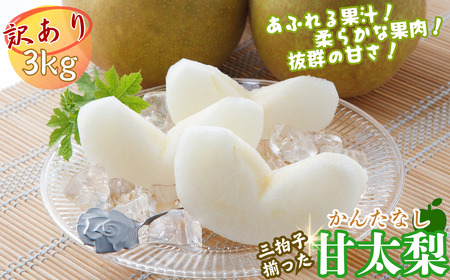 Y478 【訳あり】甘太梨 3kg