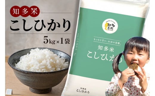 知多米　こしひかり5kg ／ お米 白米 うるち米 コシヒカリ 愛知県 特産品