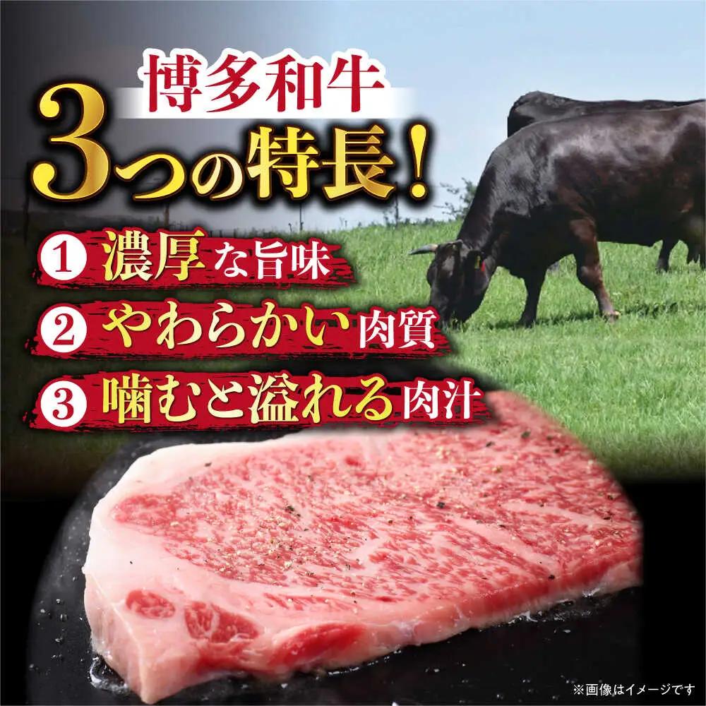 サーロイン 【全3回定期便】 500g（250g×2枚）  [ABBP030] サーロイン