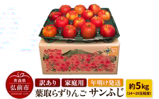 りんご 訳あり家庭用【年明け発送】葉取らず サンふじ 約5kg（14～20玉程度）青森県特別栽培農産物認証農園