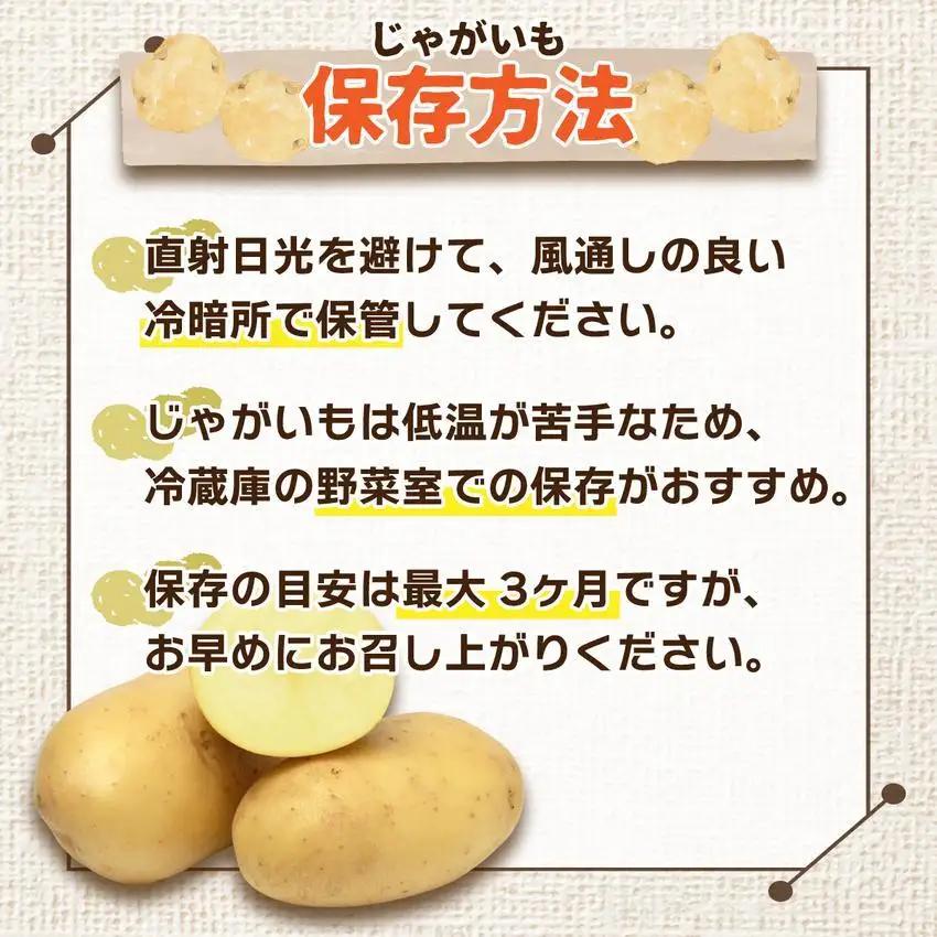 ＜先行予約＞北海道産 じゃがいも(メークイン) 約10kg【hjf-005】