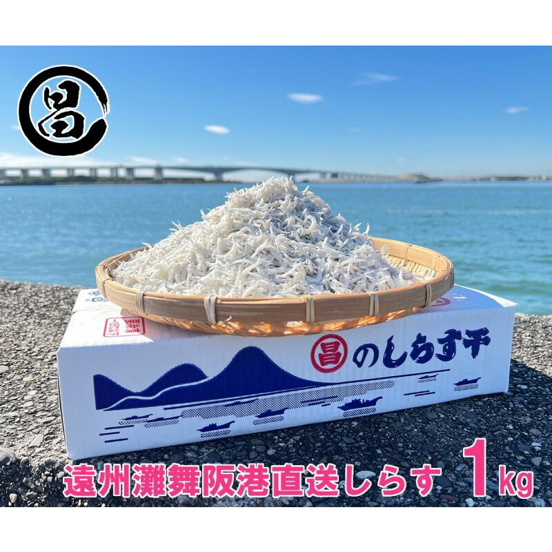【ふるさと納税】しらす 遠州灘舞阪港直送 しらす干し 1kg (250g×4袋) 小分け 冷凍 シラス 【配送不可:離島】 浜松市