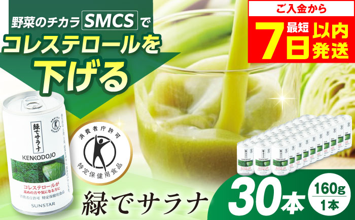 
            【最短7日以内発送】サンスター 緑でサラナ 30本セット 160g 野菜ジュース 青汁 サラナ 缶 ケース まとめ買い 健康 特定保健用食品 トクホ コレステロール 保存料不使用 無添加 国産 長期保存 常温 防災 ギフト 大阪府高槻市/サンスター[AOAD034]
          