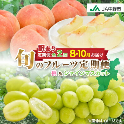 【ふるさと納税】【発送月固定定期便】JA中野市訳ありの【桃】川中島白桃2.1kgとシャインマスカット1.3kg全2回_ 桃 シャインマスカット 訳あり 白桃 もも モモ マスカット ぶどう ブドウ 葡萄 果物 フルーツ 定期便 全2回 【配送不可地域：離島・北海道・沖縄県】【4060199】