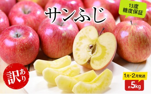 
                  [№5554-0383]りんご 【1月・2月発送】 糖度13度以上 訳あり品 家庭用 サンふじ 約 5kg 【 青森りんご  果物 フルーツ デザート 食後 青森県産 産地直送 贈り物  】
                