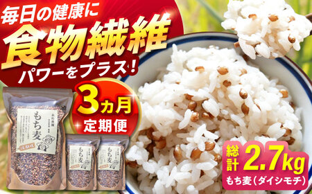 【3回定期便】白石産もち麦900g 計2.7kg / もち麦 [IAA034]
