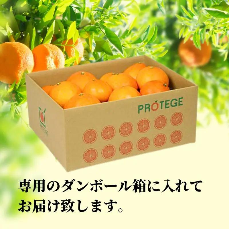 【2027年2月下旬頃から順次発送】愛果48号 家庭用 約5kg あいか 期間限定 みかん 柑橘 愛媛県産 【PT050】