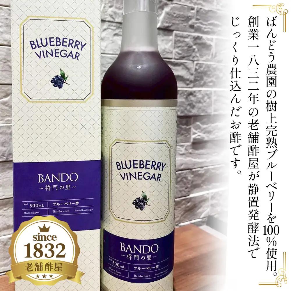 ブルーベリービネガー500ml　BANDO ～将門の里～ No.845