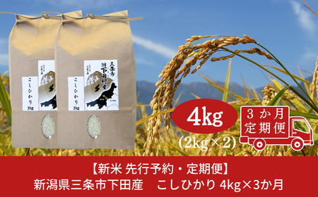 先行予約 [定期便] 新潟県三条市下田産こしひかり 4kg(2kg×2)×3回 お米の定期便 定期便 三条市産米定期便 コシヒカリ定期便 こしひかり定期便 【030S035】