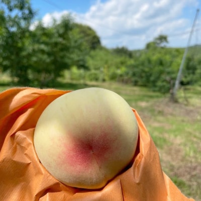 【2025年先行予約】2025年7月中旬頃より発送予定・岡山の白桃・白鳳(2kg箱)【配送不可地域：離島】【1479360】