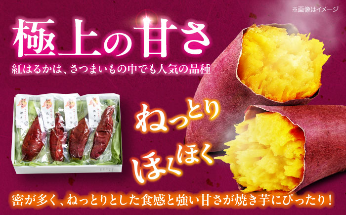 愛媛大洲育ち 熟成紅はるか焼き芋 1kg（4から6本入り） さつまいも やき芋 冷蔵 小分け 個包装 愛媛県大洲市/(有)玉井民友商店 [AGBY007]