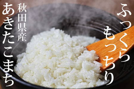 《定期便5ヶ月》 秋田県産 あきたこまち 10kg(10kg×1袋)×5回【白米】 計50kg 新米 令和5年産（9月下旬より発送予定）