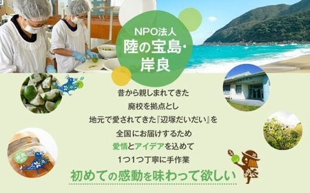 【A20008】先行受付！2025年9月中旬以降発送！辺塚だいだい 青果 (10kg) 鹿児島 国産 橙 だいだい 柑橘 かんきつ 果物 フルーツ 贈答 ギフト【NPO法人 陸の宝島・岸良】