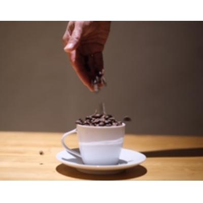 ふるさと納税 奄美市 自家焙煎【てるまに珈琲】　スペシャルブレンドコーヒーギフトセット80g×2【豆】 |  | 03