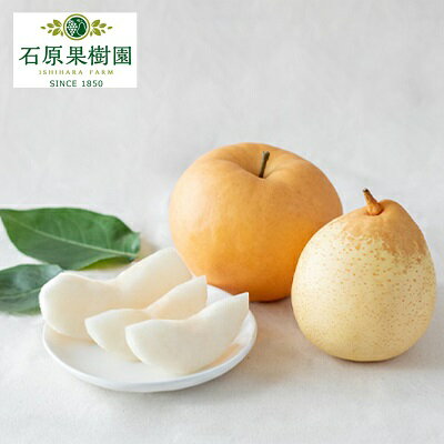 【ふるさと納税】梨 2026年 先行予約 あたご梨・鴨梨（ヤーリー）詰合せ 合計約4.5kg あたご2～3玉 鴨梨3～7玉 贈答箱【11月下旬～12月中旬頃発送】 ナシ なし 岡山県産 国産 フルーツ 果物 ギフト 石原果樹園　お届け：2026年11月15日～2026年12月20日
