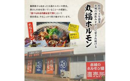 【定期便・全2回】白モツ 定期便 合計2kg（1kg×2回）｜豚ホルモン 豚肉 焼肉 BBQ モツ鍋 もつ鍋 ちょい飲み 味付き 冷凍便 F4H-0488