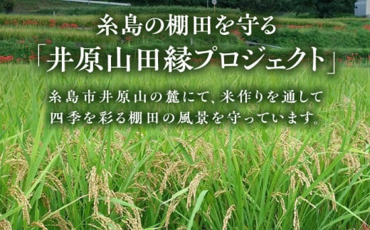 無農薬で育てたお米で作った 日本酒 『田縁一献（でんえんいっこん）』 純米酒 720ml×2本 糸島市 / 田縁プロジェクト [AUM001] 酒 日本酒 純米酒 720ml 2本 セット ギフト 贈