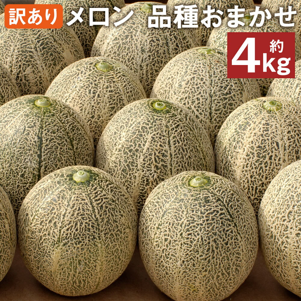 【ふるさと納税】訳ありメロン 品種おまかせ 約4kg 2〜7玉 ランダム おまかせ ご家庭用 メロン フルーツ 菊池市産 熊本県産 九州産 冷蔵 送料無料 《5月下旬-7月下旬頃発送予定》