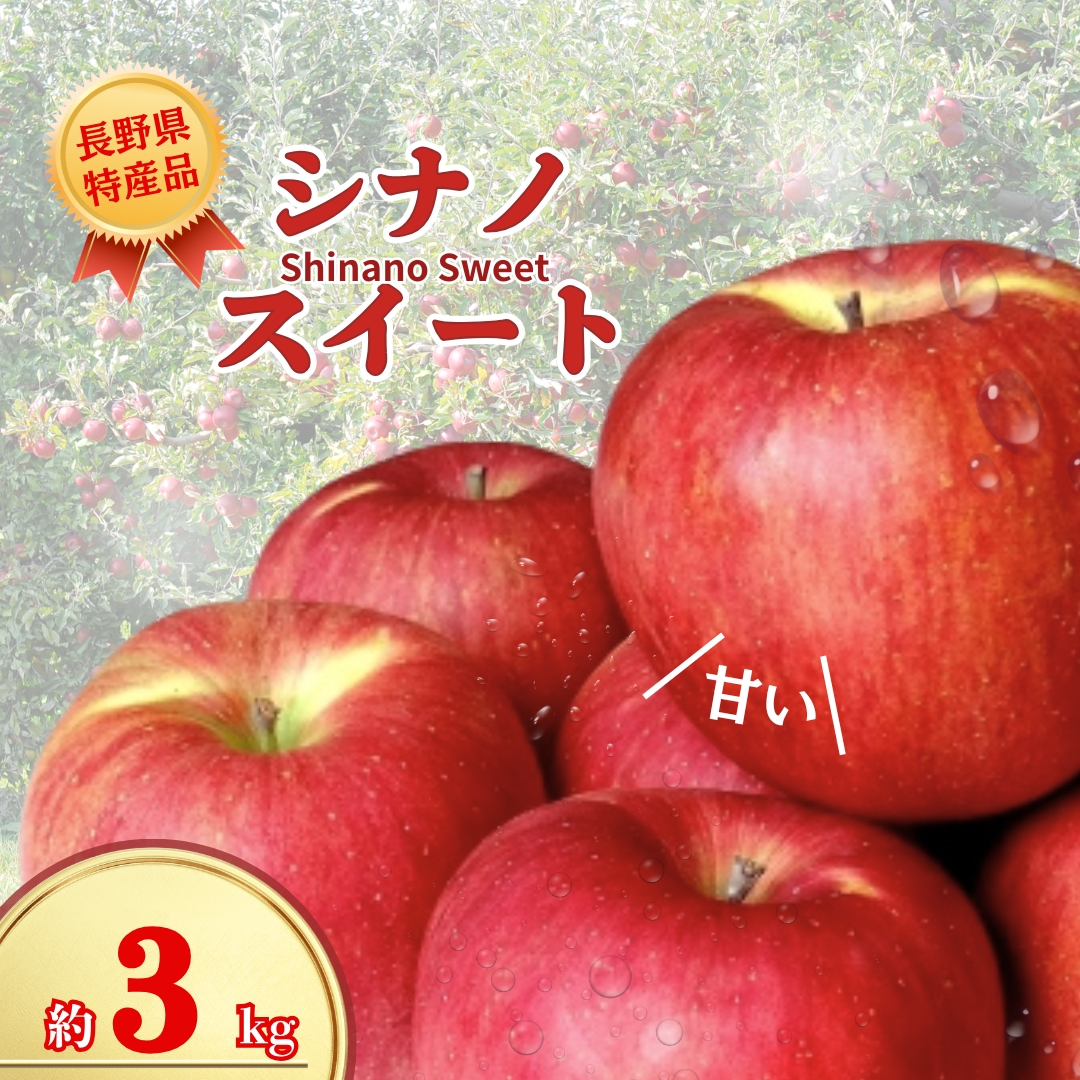 【2026年先行予約】シナノスイート  約3kg｜ 果物 フルーツ リンゴ 林檎 シナノスイート 千曲市 長野県 信州