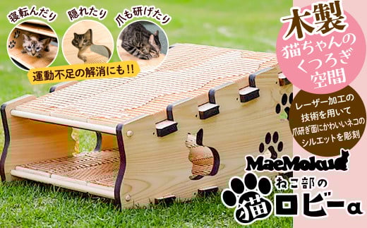 JJB-1.【2月22日は“猫の日” 】maemokuねこ部の「猫ロビーa」　