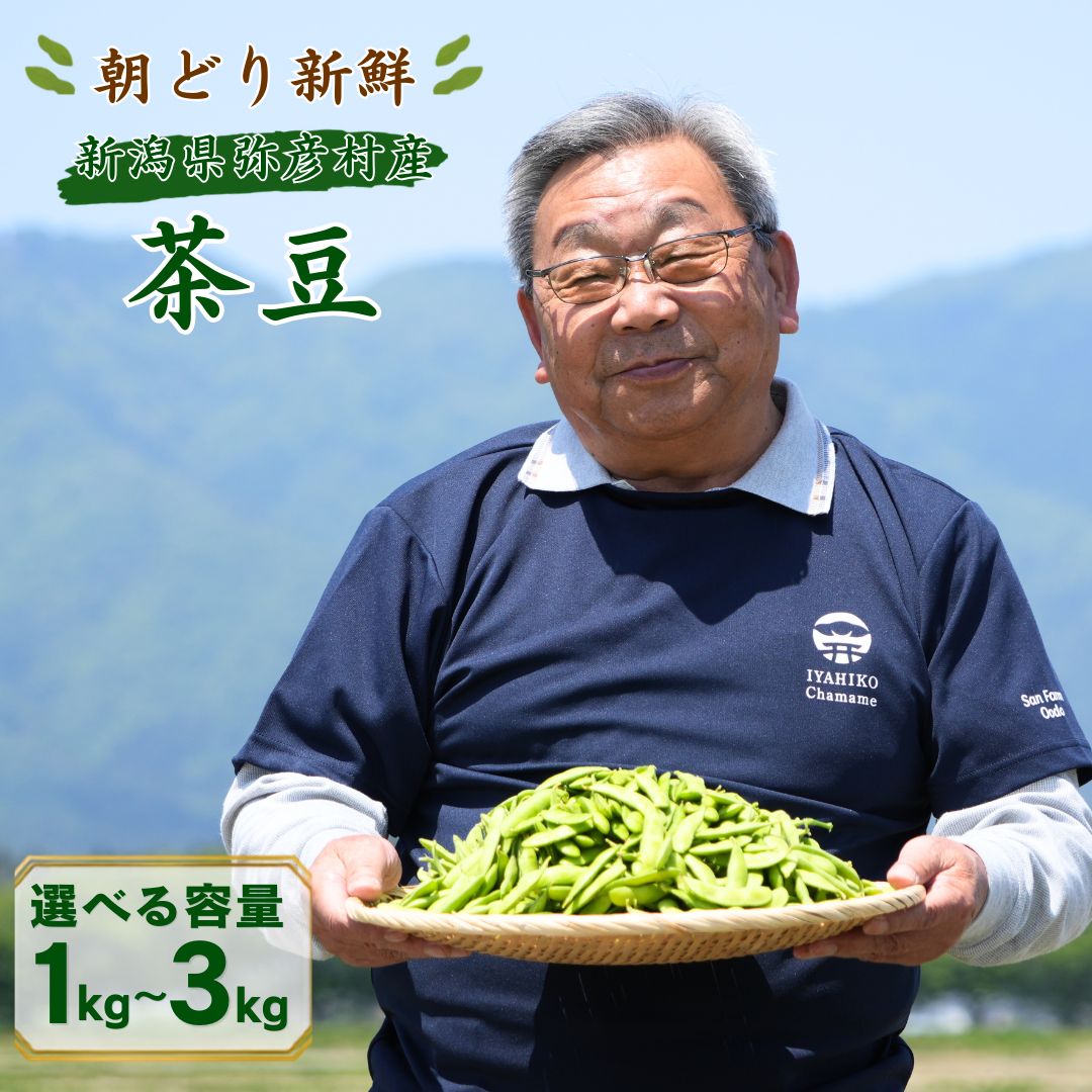 【ふるさと納税】朝どり新鮮 新潟 枝豆 えだまめ 茶豆 選べる 1kg 3kg | 特産品 野菜 おつまみ 晩酌 濃厚な甘さ お取り寄せ おすすめ プレゼント ギフト 贈答 贈り物 父の日 1キロ 3キロ 新潟県 弥彦村 農事組合法人 サンファーム大戸
