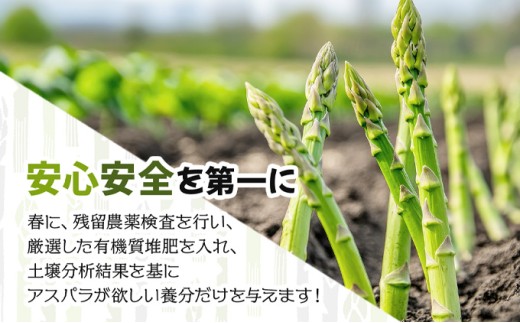 【先行予約／令和8年産】北海道岩見沢産 夏グリーンアスパラ L～2Lサイズ 1kg【41104】