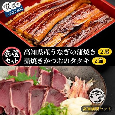ふるさと納税 安芸市 【毎月定期便】藁焼きかつおのタタキ2節と高知県産うなぎの蒲焼き2尾セット 全3回