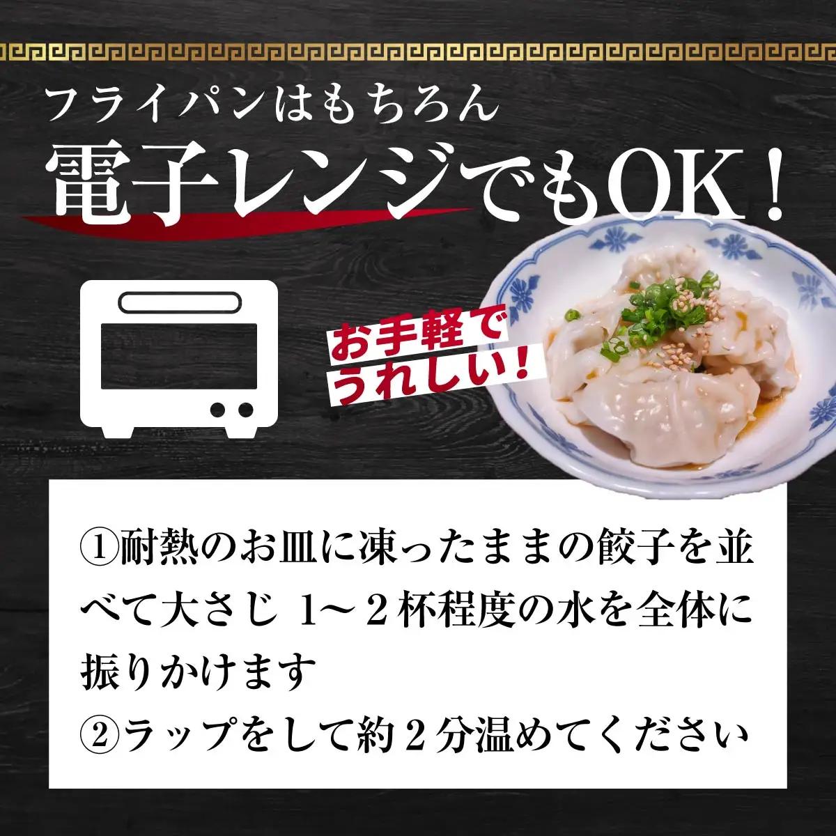餃子 訳あり 12ヶ月定期便 たっぷり 100個 大容量 冷凍餃子