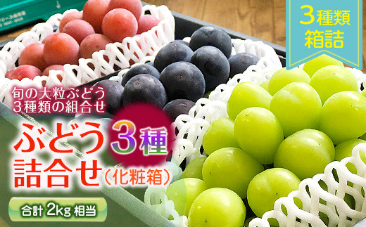 
≪先行予約≫2024年 山形県 高畠町産 ぶどう3種詰合せ(化粧箱) 2kg以上 2024年9月中旬頃から順次発送 ぶどう ブドウ 葡萄 大粒 高級 くだもの 果物 フルーツ 秋果実 産地直送 農家直送 数量限定 贈答 ギフト F20B-346
