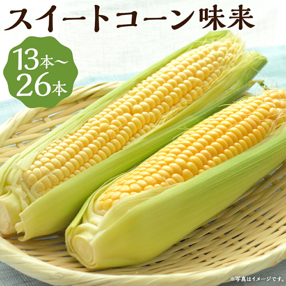 【ふるさと納税】スイートコーン 味来 13本/26本 選べる内容量 2Lサイズ とうもろこし 野菜 京極町産 北海道産 国産 冷蔵 送料無料【2025年8月下旬～9月上旬に順次発送予定】