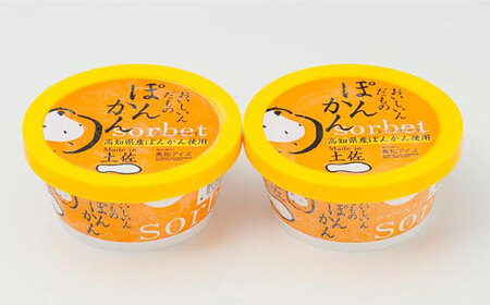 ぽんかんシャーベット6個 高知アイス ポンカン おいしんだもの Made in 土佐 【グレイジア株式会社】 [ATAC372]