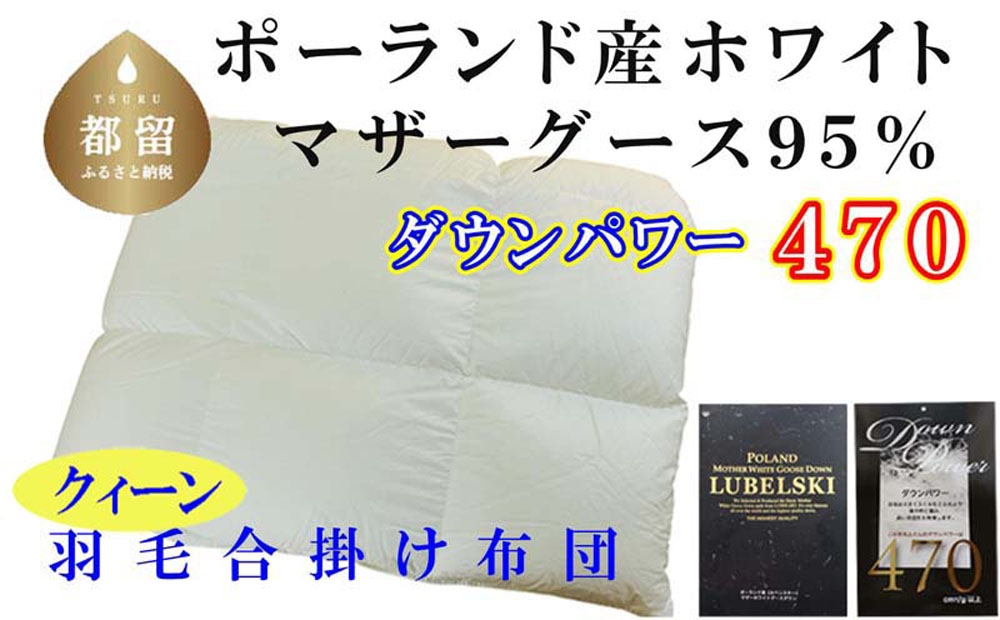 
                  【合掛け布団】クィーン ポーランド産マザーグース95%ダウンパワー470 サイズ 220×210cm 羽毛掛け布団 CK391
                