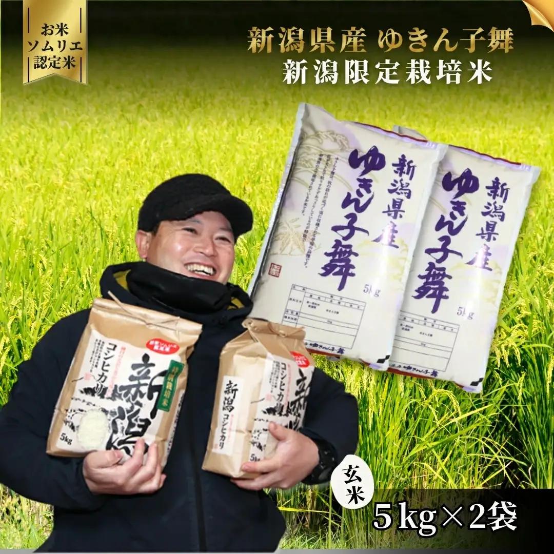 【先行予約】令和8年産 新米 ゆきん子舞 玄米 10kg(5kg×2袋)【9月中旬発送開始】 | 新潟県産 米 玄米 五泉市