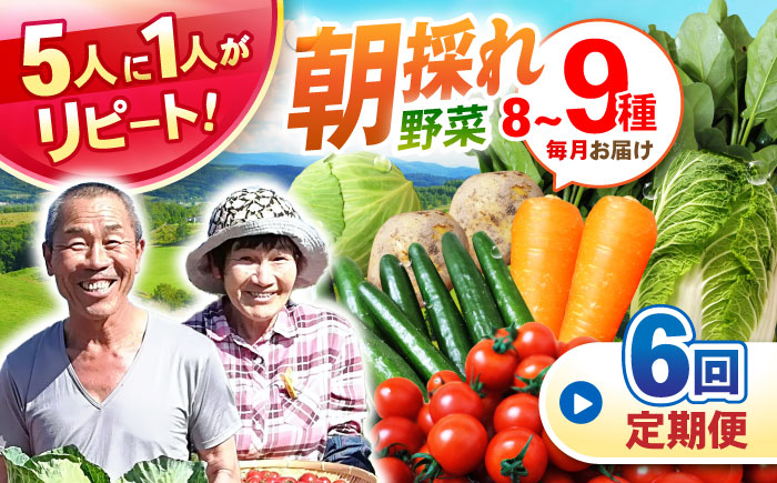 野菜定期便【6回】諫早産野菜の詰め合わせ(8〜9品目程度)  [AHDI002]
