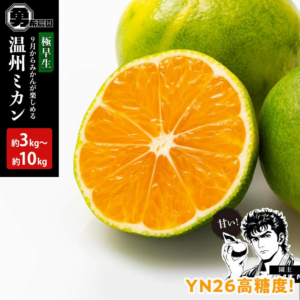 【ふるさと納税】【選べる容量】先行予約極早生温州ミカン YN26 約3kg～10kg サイズ混合 和歌山県 有田みかん 2025年9月下旬頃発送 | みかん 蜜柑 フルーツ 果物 くだもの 食品 人気 おすすめ 送料無料
