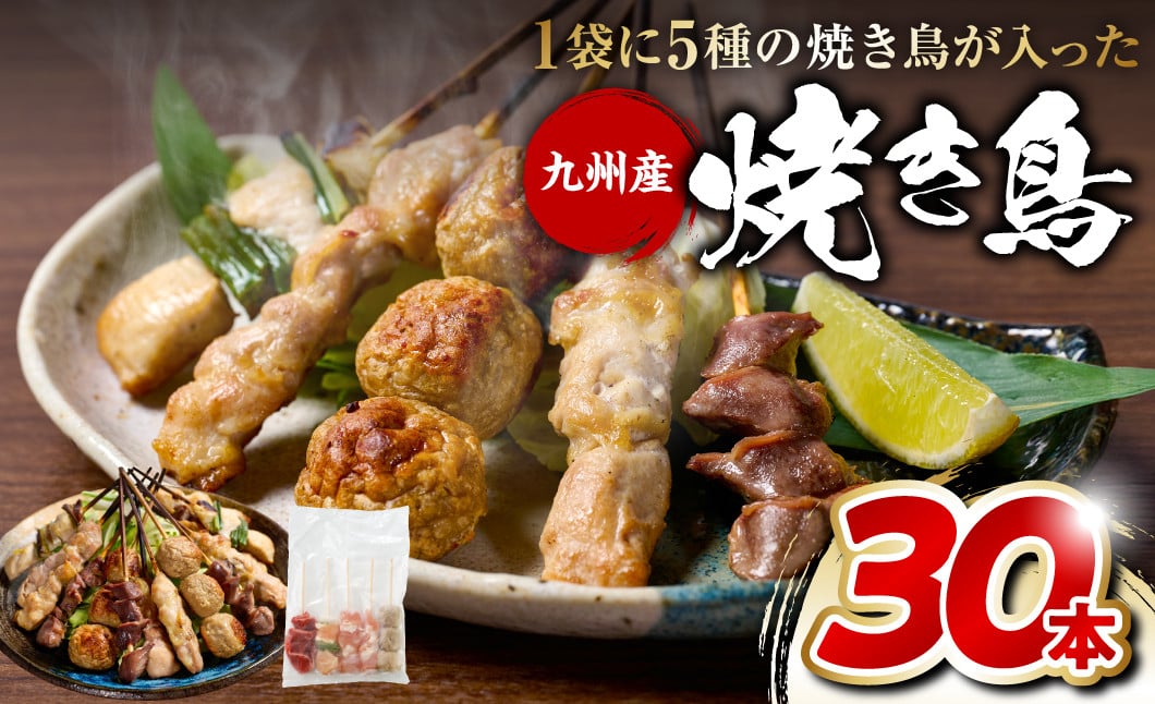 
            やきとり5種 30本セット お試しサイズ！ 焼き鳥 焼鳥 国産 鶏 鶏肉 とり肉 串 九州産 冷凍 小分け ねぎま むね とろ もも 砂肝 つくね BBQ パーティー おつまみ セット バラエティーパック
          