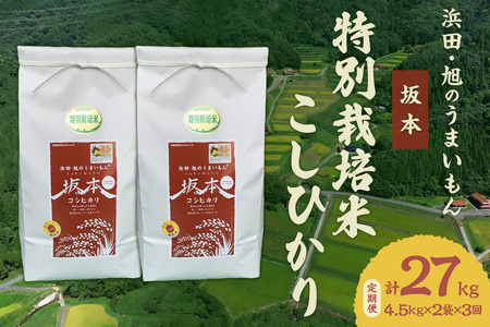 【定期便】【令和6年産】浜田・旭のうまいもん「坂本」特別栽培米こしひかり 4.5kg×2袋×3回 米 お米 精米 白米 ごはん こしひかり 特別栽培米 定期 3回 新生活 応援 準備 【1024】