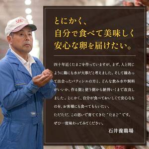 【3回定期便】ビタミンＥ豊富な「碧空たまご」80個入り Lサイズ タマゴ 卵 玉子 たまご F23R-936