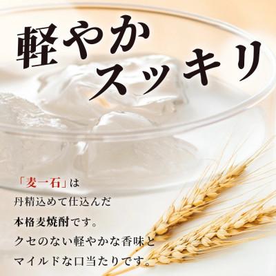 ふるさと納税 多良木町 【麦一石】4L エコペット 25度(多良木町) |  | 01