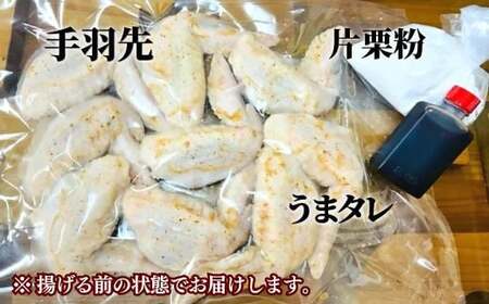 C1-50 うまタレ付 手羽先 600g×2P 計1.2kg